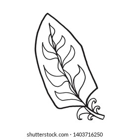 vector drawing feather illustration by hand