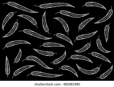 vector drawing feather set