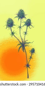 vector drawing feverweed against the bright sky