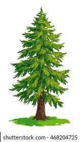 Vector drawing of fir tree. EPS8