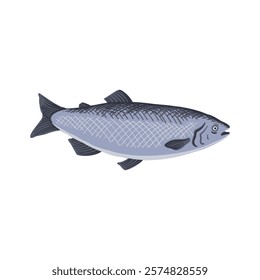 vector drawing fish, Atlantic salmon, Salmo salar, isolated at white background, hand drawn illustration