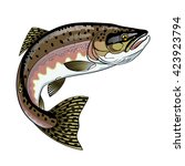 Vector drawing of fish pink Salmon 