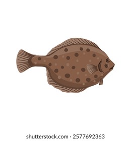 vector drawing fish, plaice, marine flatfish, flounder isolated at white background, hand drawn illustration