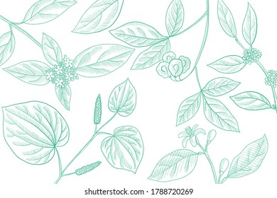 vector drawing floral vintage template with medicinal plants, hand drawn illustration