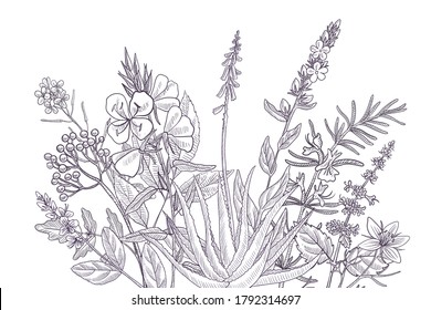 vector drawing floral vintage template, bouquet of medicinal plants, hand drawn illustration, wild flowers