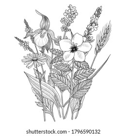 vector drawing floral vintage template, bouquet of medicinal plants, hand drawn illustration