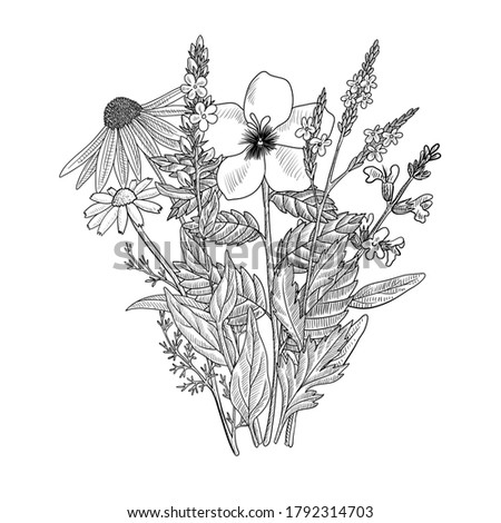vector drawing floral vintage template, bouquet of medicinal plants, hand drawn illustration, wild flowers