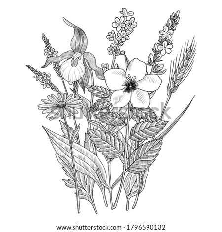 vector drawing floral vintage template, bouquet of medicinal plants, hand drawn illustration