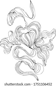 Vector drawing flower abstract from lines.