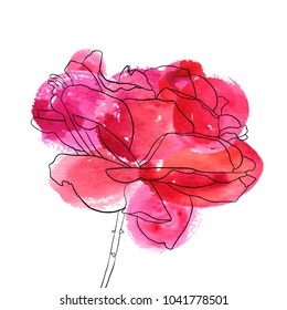 vector drawing flower, floral element with watercolor spots, hand drawn illustration
