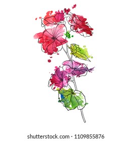 vector drawing flower, isolated floral element, hand drawn botanical illustration