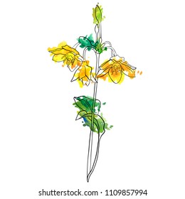 vector drawing flower, isolated floral element, hand drawn botanical illustration