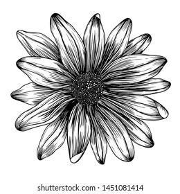 vector drawing flower , line black and white, use for printing 