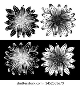 vector drawing flower, line and brush art, black and white flower, use for printing and wedding card