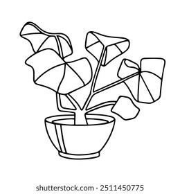 Vector drawing. Flower in a pot, home plant. Geranium, Pelargonium. doodle illustration. Children's coloring book. Design element