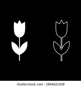 Vector drawing flower tulip, silhouette and contour color white flat style 