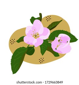 Vector drawing of a flowering branch of a handmade apple tree branch on a white isolated background, flat. Holiday, card, decoration.