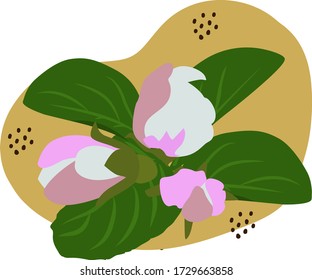 Dibujo vectorial de una rama florida de un manzano hecho a mano sobre un fondo blanco aislado, plano. Vacaciones, cartas, decoración.