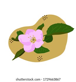 Dibujo vectorial de una rama florida de un manzano hecho a mano sobre un fondo blanco aislado, plano. Vacaciones, cartas, decoración.
