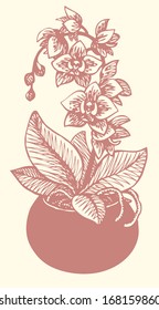 Vector drawing. Flowering branch of orchid, growing from a round vase 