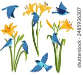 vector drawing flowers and birds, mountain bluebirds and yellow daylily, hand drawn illustration