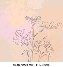 vector drawing flowers of cornflowers and daisies at vintage pink background, floral composition, hand drawn illustration