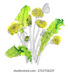 Vector dibujando flores de diente de león y mariposa, composición floral con manchas de pintura de acuarela de color en el fondo blanco, ilustración dibujada a mano