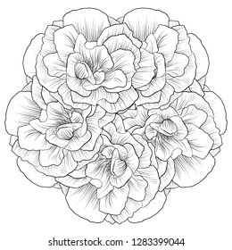 vector drawing flowers, decorative rosette, stylized design round template, isolated floral element, hand drawn botanical illustration