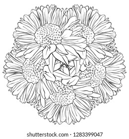 vector drawing flowers, decorative rosette, stylized design round template, isolated floral element, hand drawn botanical illustration
