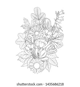 vector drawing flowers, decorative rosette, stylized designtemplate, isolated floral element, hand drawn botanical illustration,coloring page