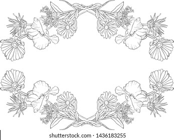 vector drawing flowers, decorative rosette, stylized design template, isolated floral element, hand drawn botanical illustration,coloring page