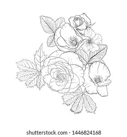 vector drawing flowers, decorative rosette, stylized designtemplate, isolated floral element, hand drawn botanical illustration,coloring page