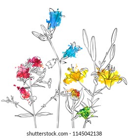 vector drawing flowers, floral background, hand drawn botanical illustration