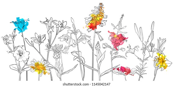vector drawing flowers, floral background, hand drawn botanical illustration