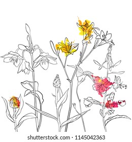vector drawing flowers, floral background, hand drawn botanical illustration