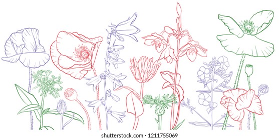 vector drawing flowers, floral composition, hand drawn illustration