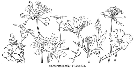 vector drawing flowers, floral composition, hand drawn illustration