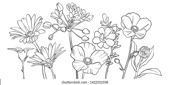 vector drawing flowers, floral composition, hand drawn illustration