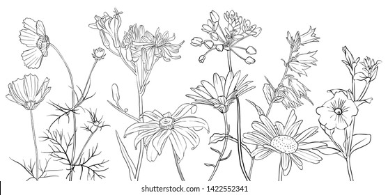 vector drawing flowers, floral composition, hand drawn illustration