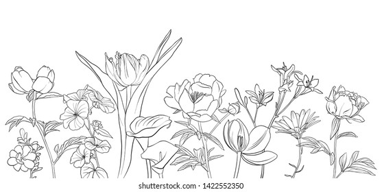 vector drawing flowers, floral composition, hand drawn illustration
