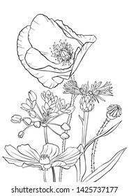 vector drawing flowers, floral composition, hand drawn illustration