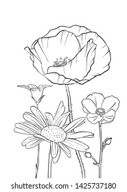vector drawing flowers, floral composition, hand drawn illustration