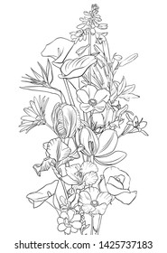 vector drawing flowers, floral composition, hand drawn illustration