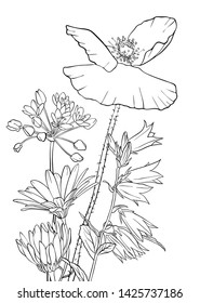 vector drawing flowers, floral composition, hand drawn illustration
