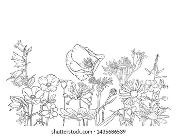 vector drawing flowers, floral composition, hand drawn illustration