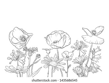 vector drawing flowers, floral composition, hand drawn illustration