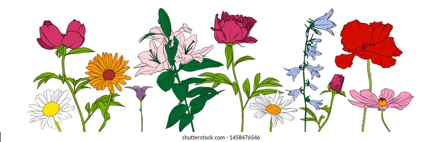 vector drawing flowers, floral composition, hand drawn art illustration