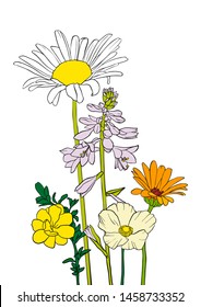vector drawing flowers, floral composition, hand drawn art illustration