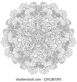 vector drawing flowers, floral mandala, decorative rosette, stylized design round template, isolated floral element, hand drawn botanical illustration