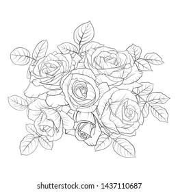 vector drawing flowers and leaves of roses, isolated floral composition, hand drawn botanical illustration